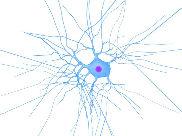 白色背景上的蓝色人类神经细胞图片下载
