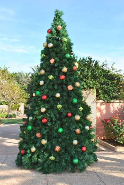 圣诞树图片下载