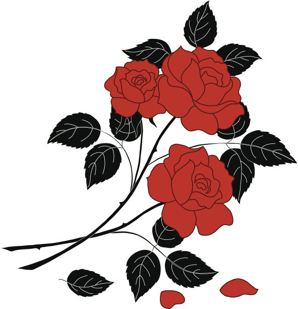 鲜花玫瑰,剪影图片下载