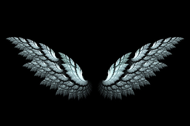 白色的天使翅膀与分形设计的黑色图片下载