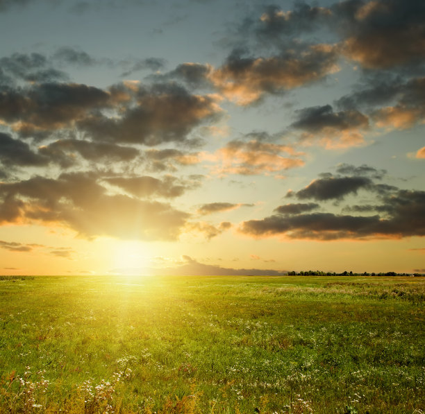 夏天的日落景观图片下载