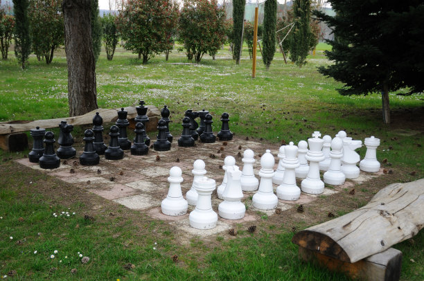 国际象棋图片下载