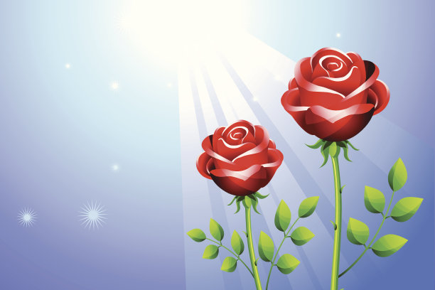 两朵红玫瑰在神奇的蓝天背景上图片下载