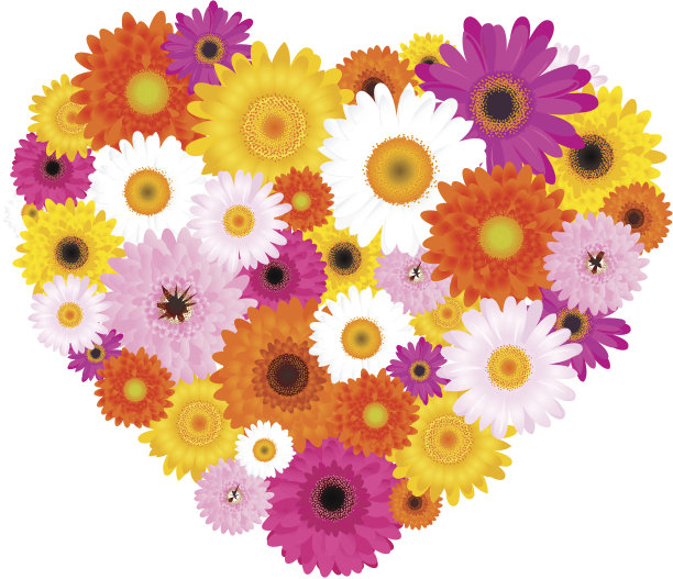 彩色雏菊做成的心素材图片