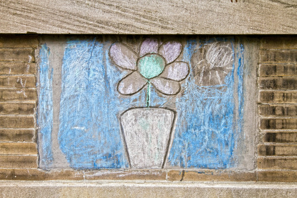 花盆里的花图片下载