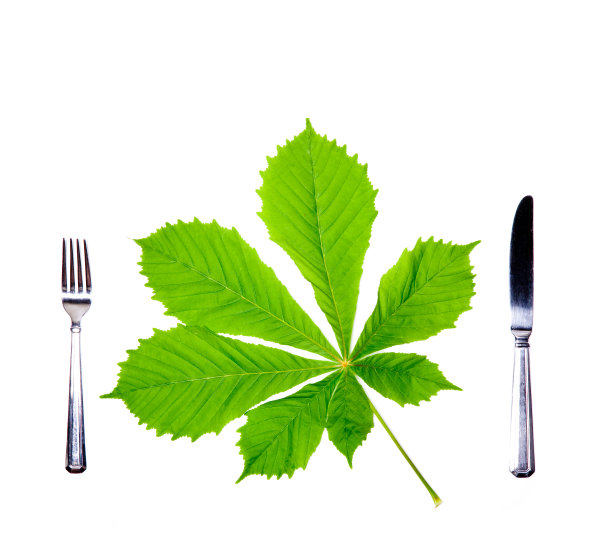 叉子，刀和新鲜的绿叶。图片下载