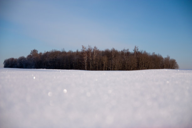 冬天的视图图片下载
