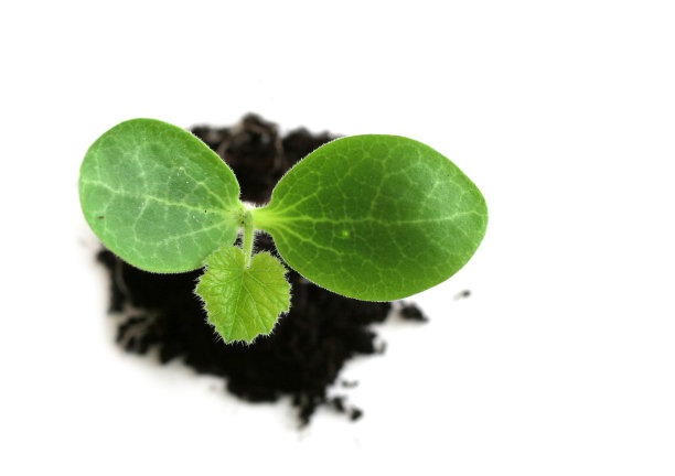 小工厂图片下载