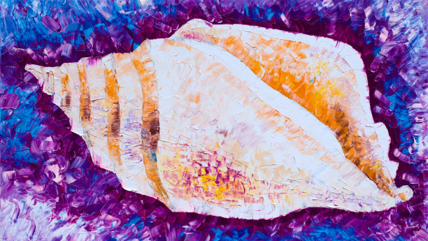 油画布上的贝壳油图片下载