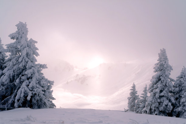 令人难以置信的雾图片下载