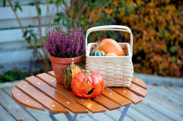 花园里的秋天图片下载