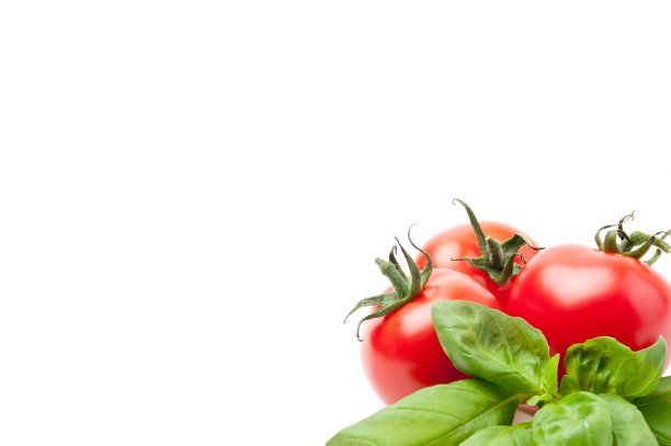 番茄和罗勒图片下载