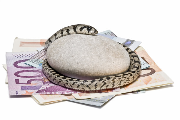 蛇看钱。图片下载