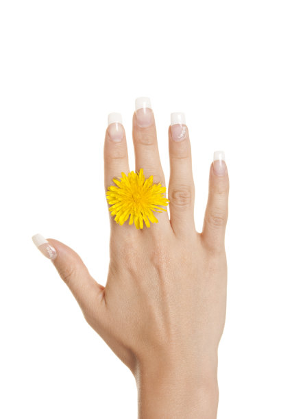 女人手指间的黄花图片下载