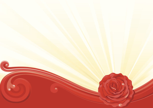 红玫瑰图片下载