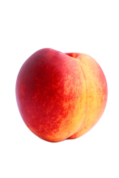 成熟的桃子孤立在白色图片下载