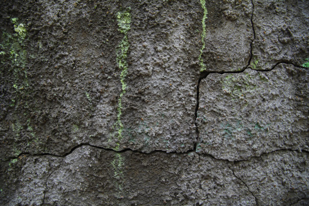 枯燥乏味的墙图片下载