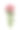 菊花图片下载