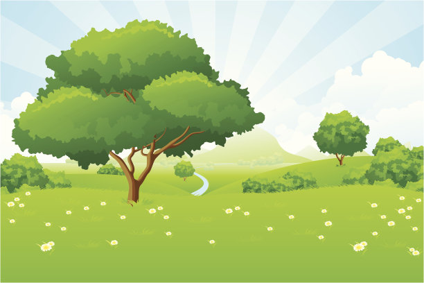 树的风景图片下载