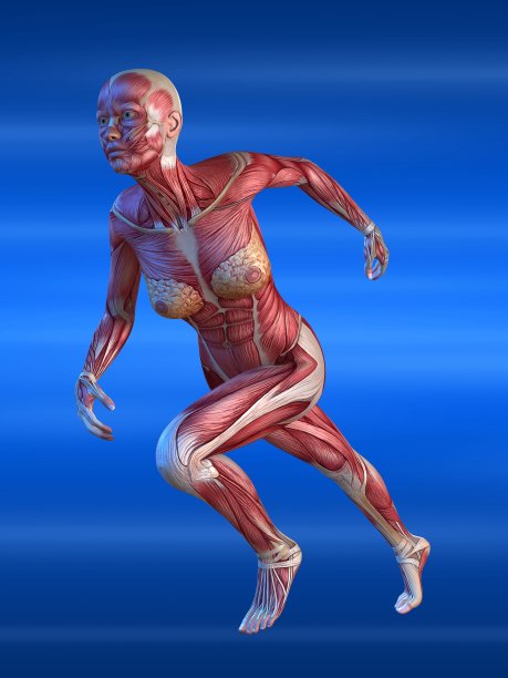 女子短跑运动员图片下载