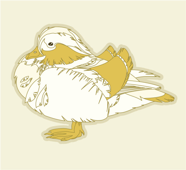 手绘的鸟图片下载