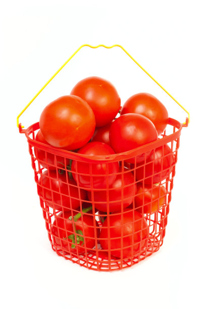 番茄桶图片下载