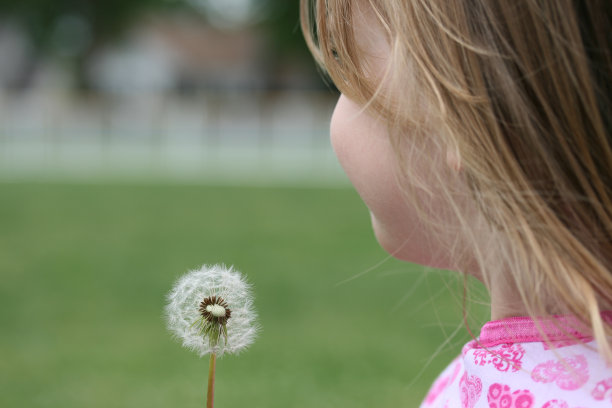 小女孩和蒲公英图片下载