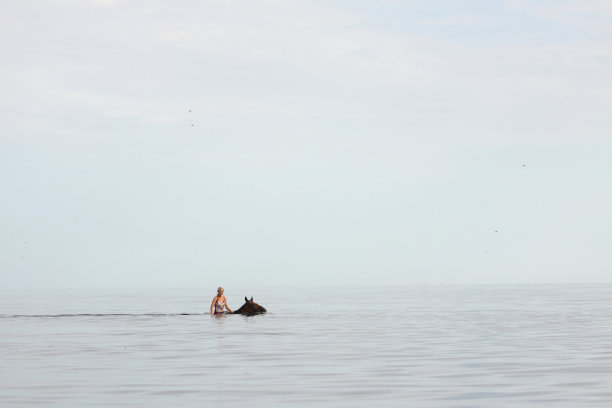 在海上骑马图片下载