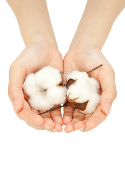 棉花图片下载