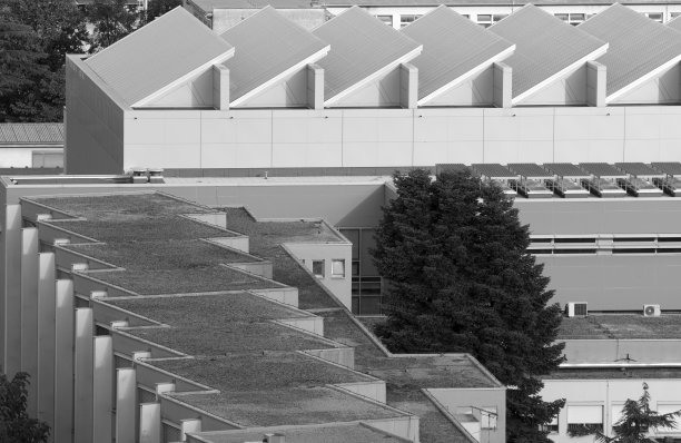 节奏的屋顶图片下载