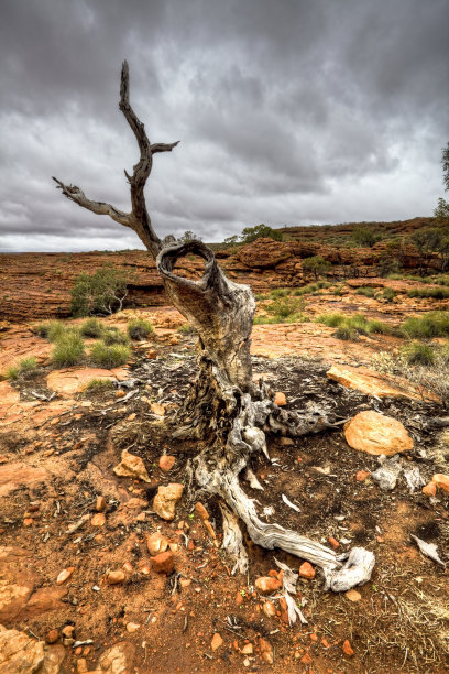 澳大利亚内陆地区图片下载