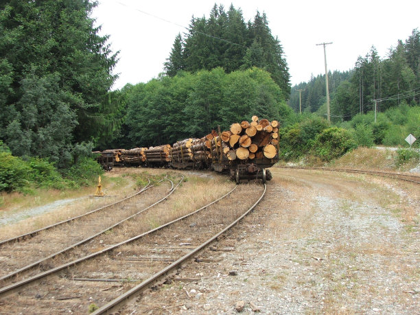 火车上的原木装载图片下载