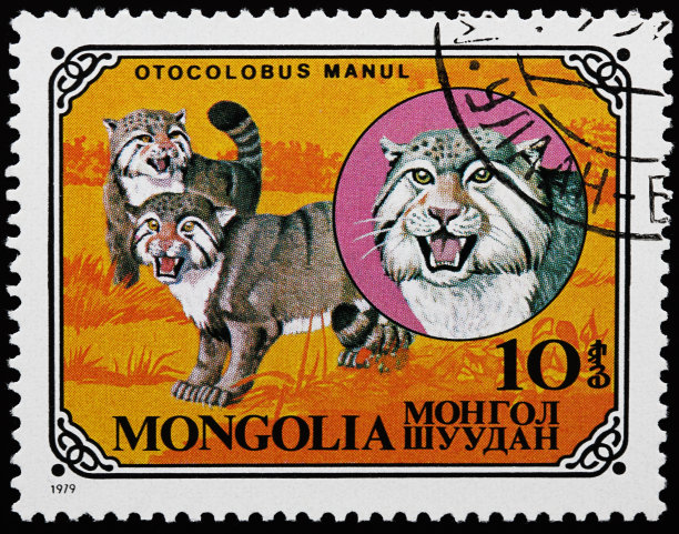 帕拉斯的猫邮票图片下载