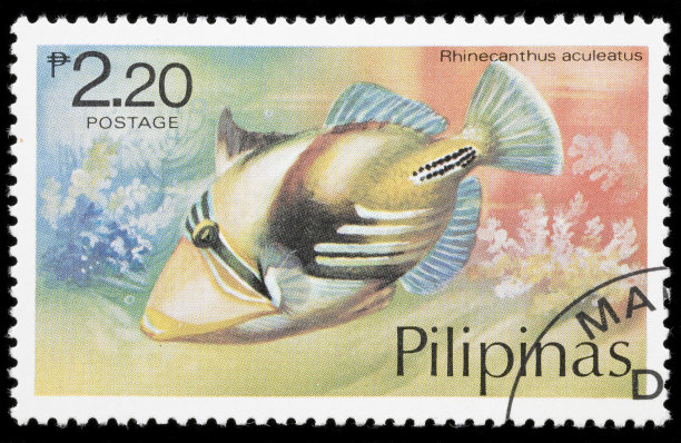 邮票上的鱼图片下载