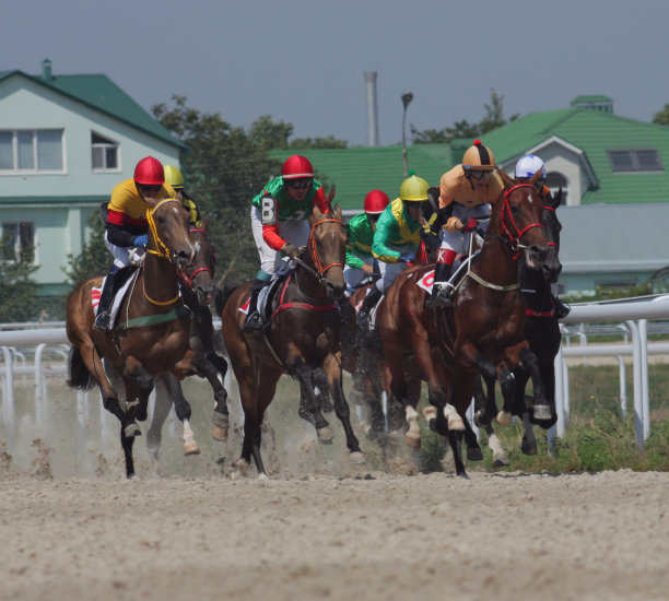 赛马。图片下载