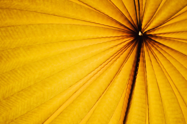 中国纸灯笼素材图片