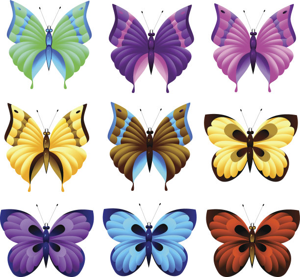 的蝴蝶图片下载