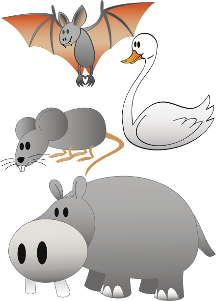 动物的第二个素材图片