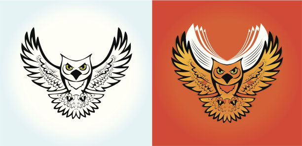 猫头鹰飞图片下载