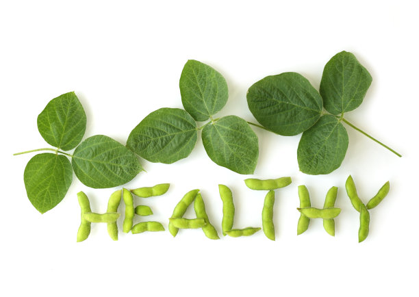 健康的大豆图片下载