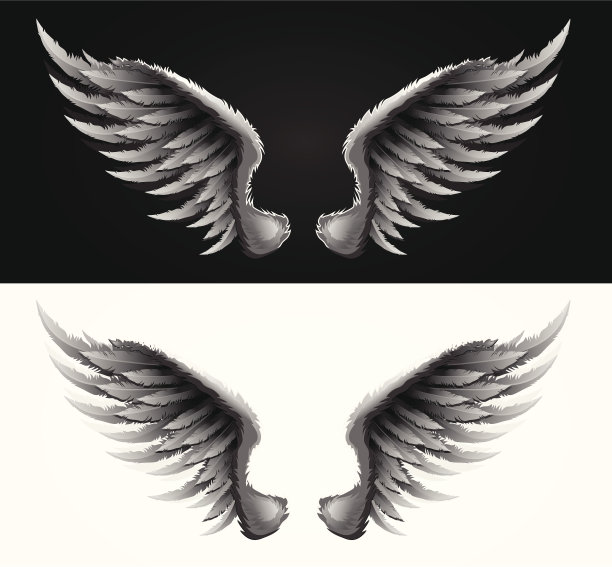 翅膀素材图片