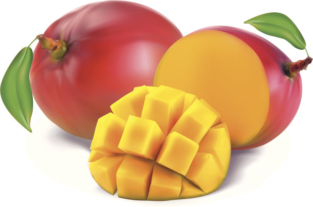 芒果和节素材图片