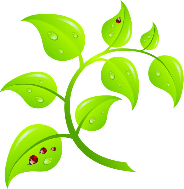 绿色的分支树图片下载