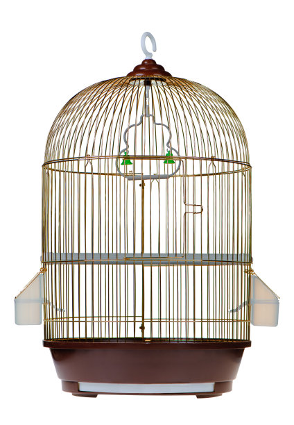 黄金的笼子里图片下载