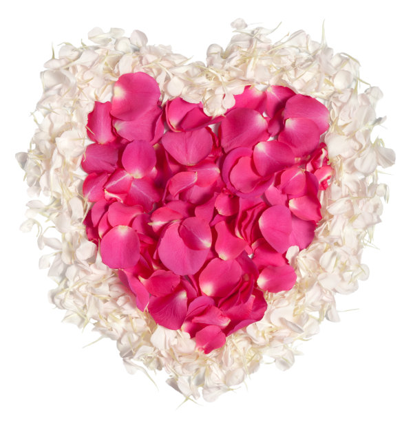 粉色和奶油玫瑰花瓣心图片下载