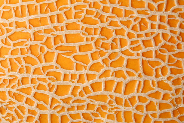 瓜纹理图片下载