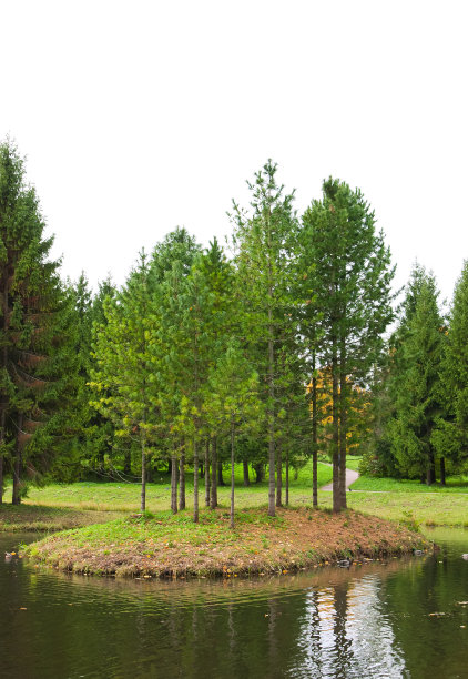 有落叶松和针叶树的岛屿图片下载