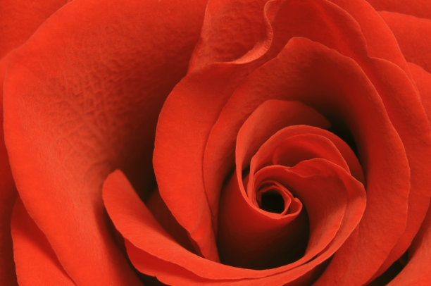 特写镜头图片下载