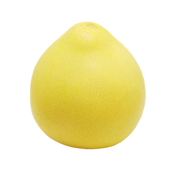 葡萄柚图片下载