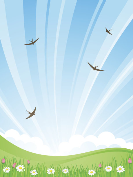 夏天的风景。矢量插图。图片下载